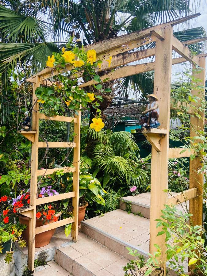 Chambres D'Hotes L'Orchidee Rose Salazie Eksteriør billede