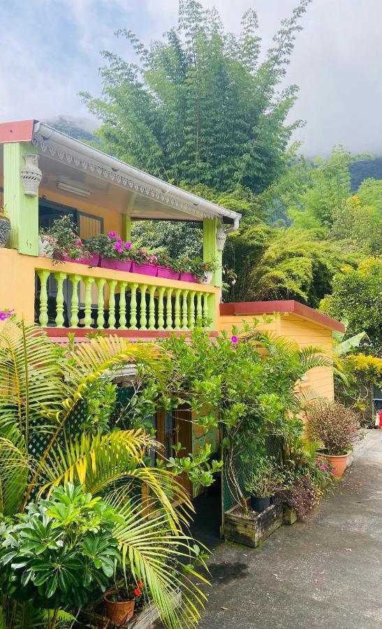 Chambres D'Hotes L'Orchidee Rose Salazie Eksteriør billede