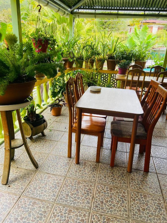 Chambres D'Hotes L'Orchidee Rose Salazie Eksteriør billede