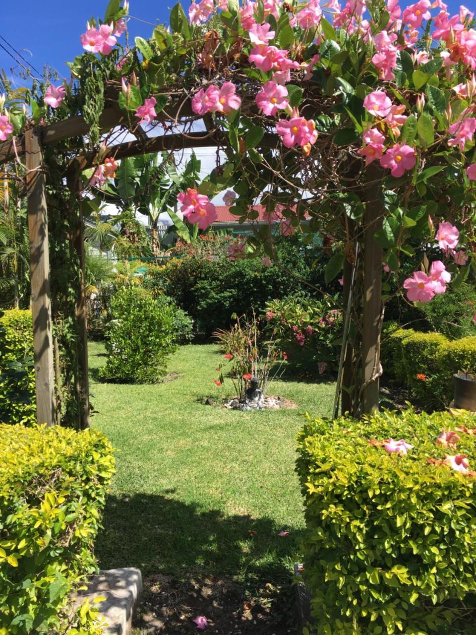 Chambres D'Hotes L'Orchidee Rose Salazie Eksteriør billede